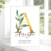 Narození miminka Abeceda Plakát